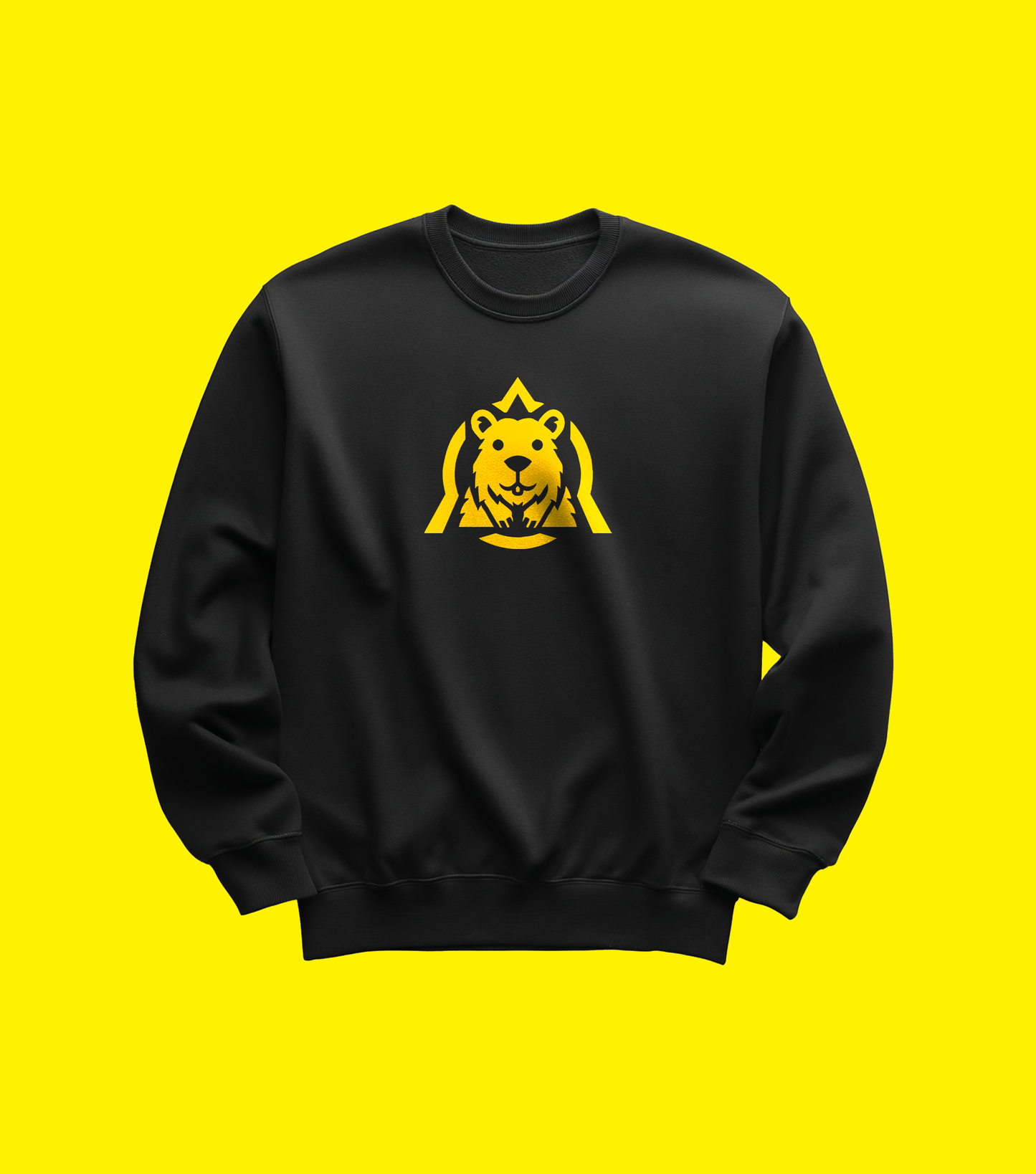 KOBR AGENT Mikina Dětská